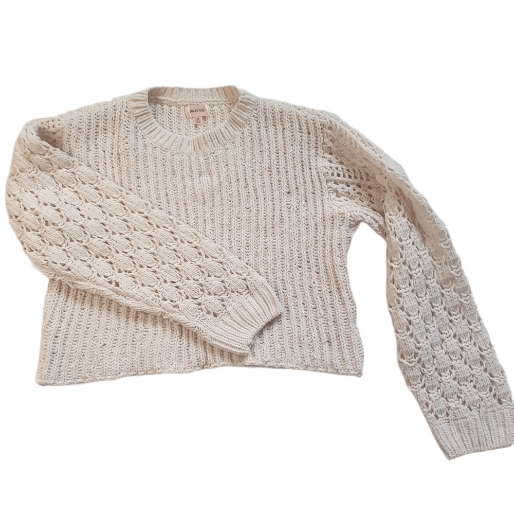 Dizzy Gal cropped knit crew neck sweater